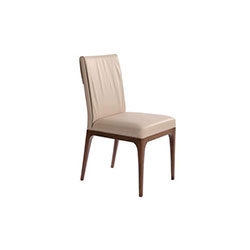 Dining chair CG-L216-04��L216-04A