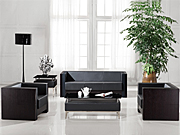 ���y(t��ng)��Ƥɳ�l(f��) CG-CTZPSF-06