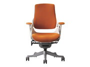 �F(xi��n)����Ƥ�а��� CG-WAU-02M