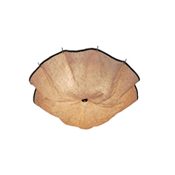 FLOS Celestia Ceiling Lamp ����㲼ˇ��픟�CG-X697_�k���Ҿ�_(d��)��픟�_�F(xi��n)����(j��ng)����