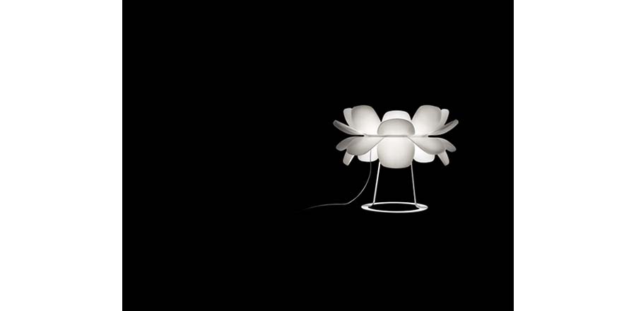 �F(xi��n)����(j��ng)����|�_��|�k���Ҿ�|Infiore�F(xi��n)���������_�� CGT1111