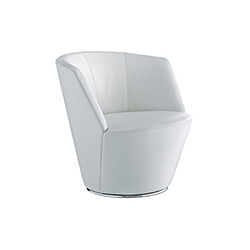 Ameo. CG-A1013-11-1