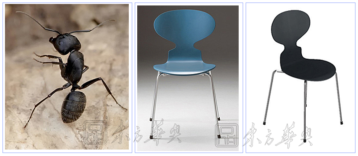 �F(xi��n)����(j��ng)�����e��|ľ�����e��|�k���Ҿ�|Λρ��|���e�����������e�Σ�������ǢՄ��