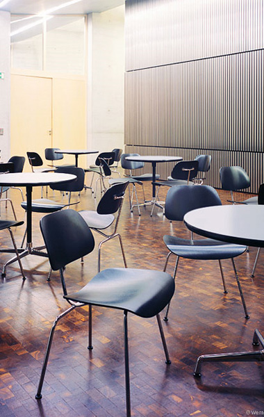 �F(xi��n)����(j��ng)������|����|�k���Ҿ�|���_(t��i)